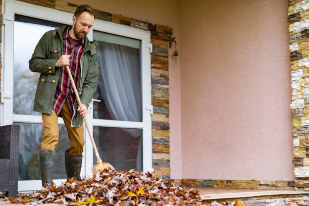Best Household Junk Removal  in East Moline, IL